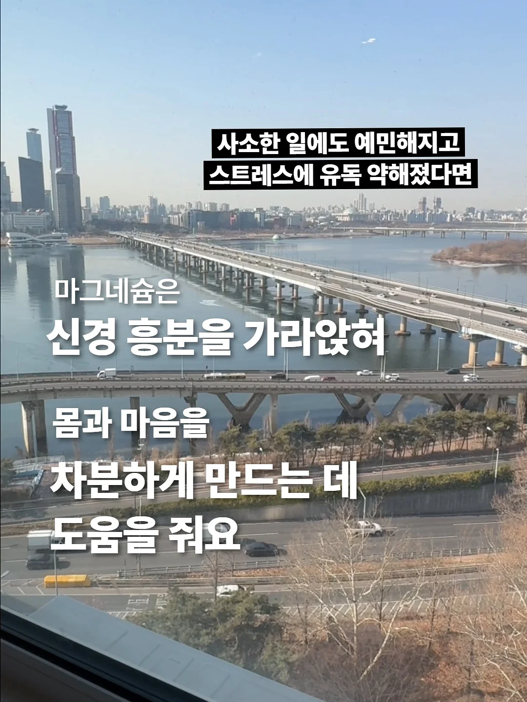 원터치 텐트 4