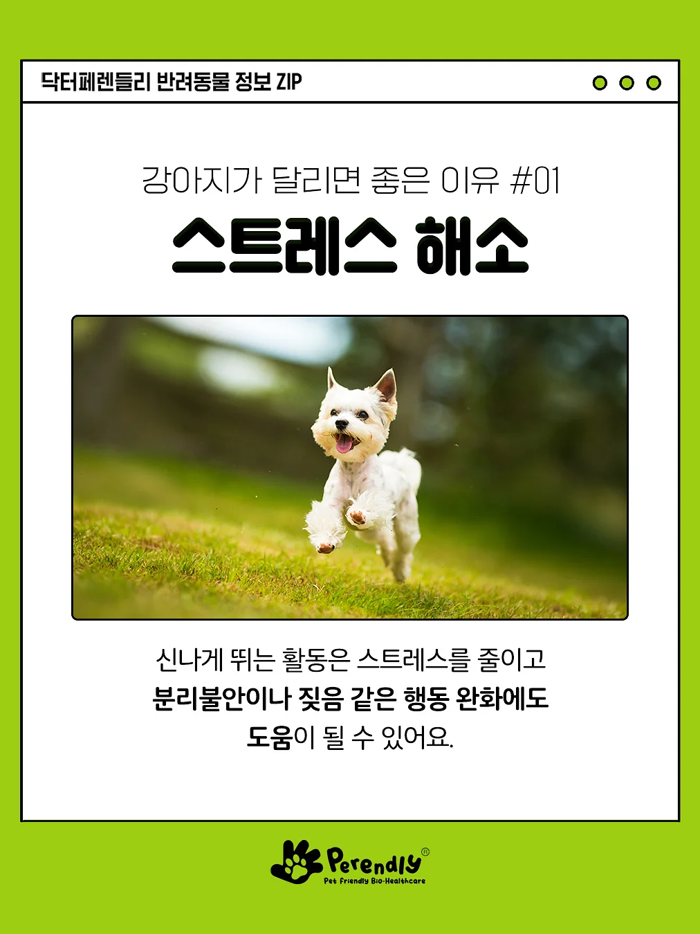 360도회전 듀얼쿨링팬 노트북거치대 2