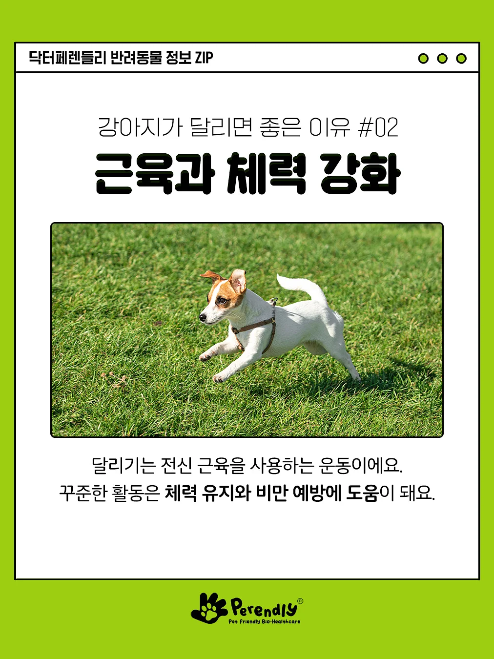 360도회전 듀얼쿨링팬 노트북거치대 3
