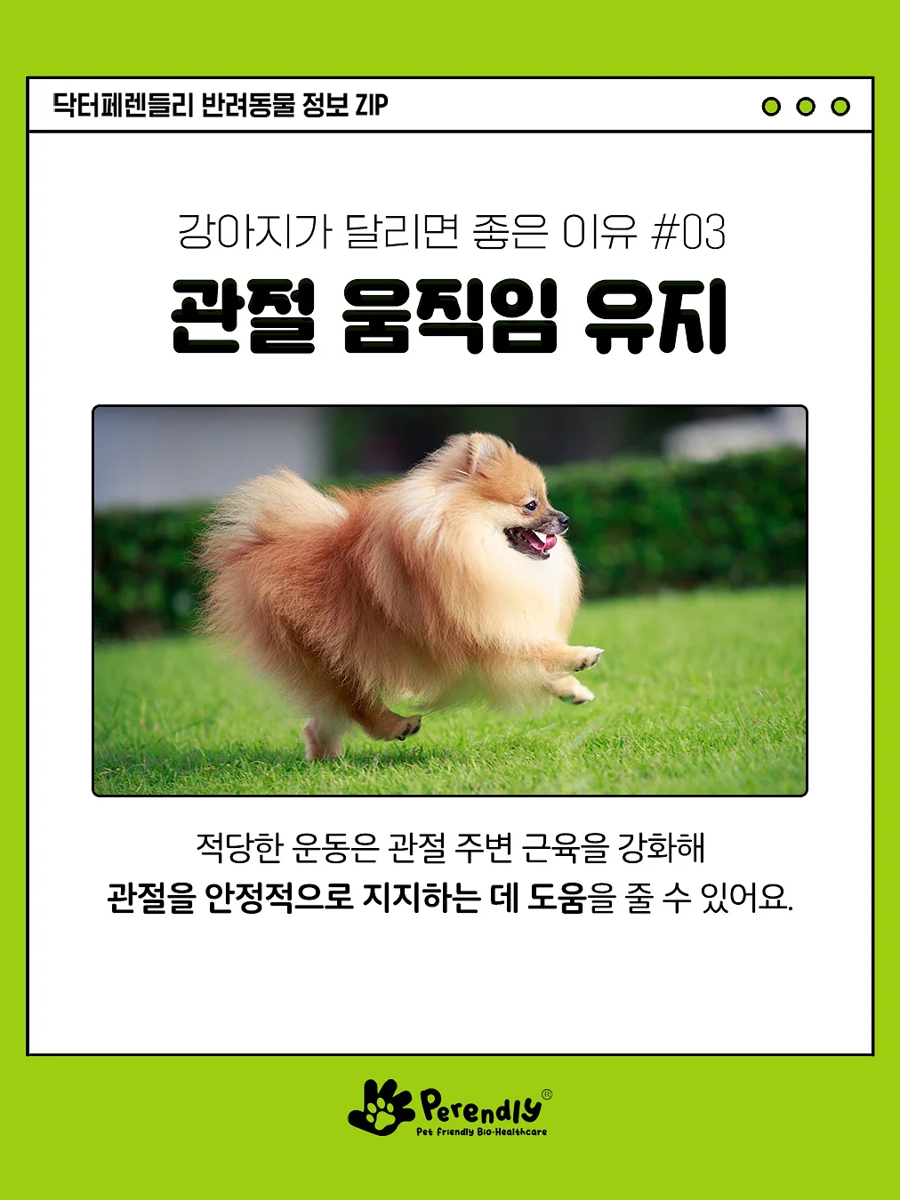 360도회전 듀얼쿨링팬 노트북거치대 4