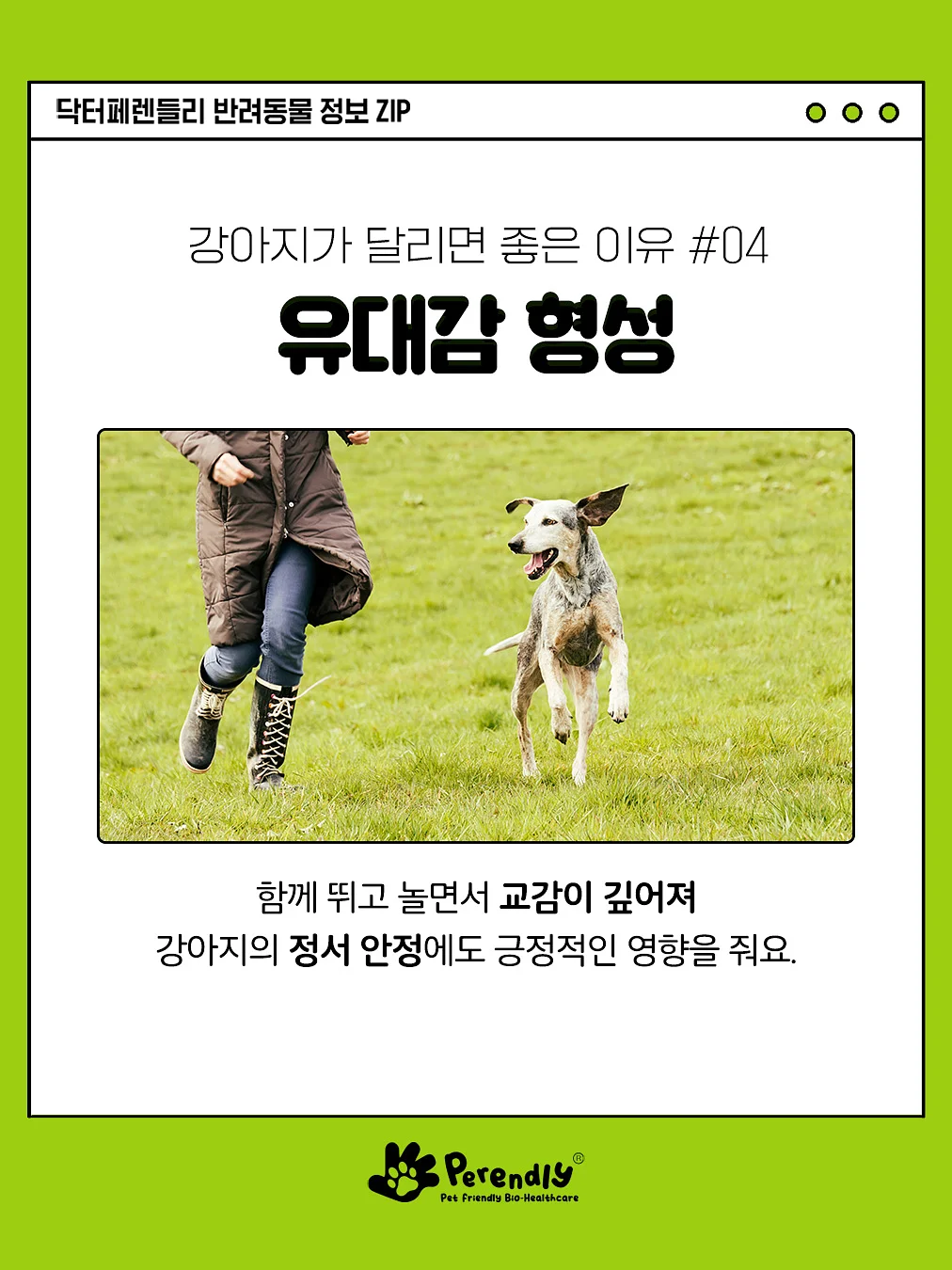360도회전 듀얼쿨링팬 노트북거치대 5