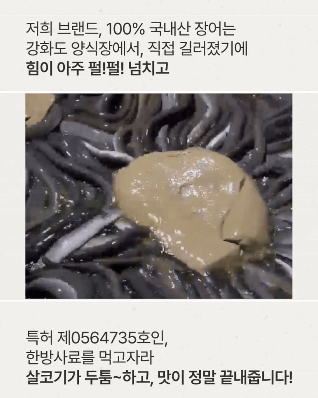 볼레로링 11