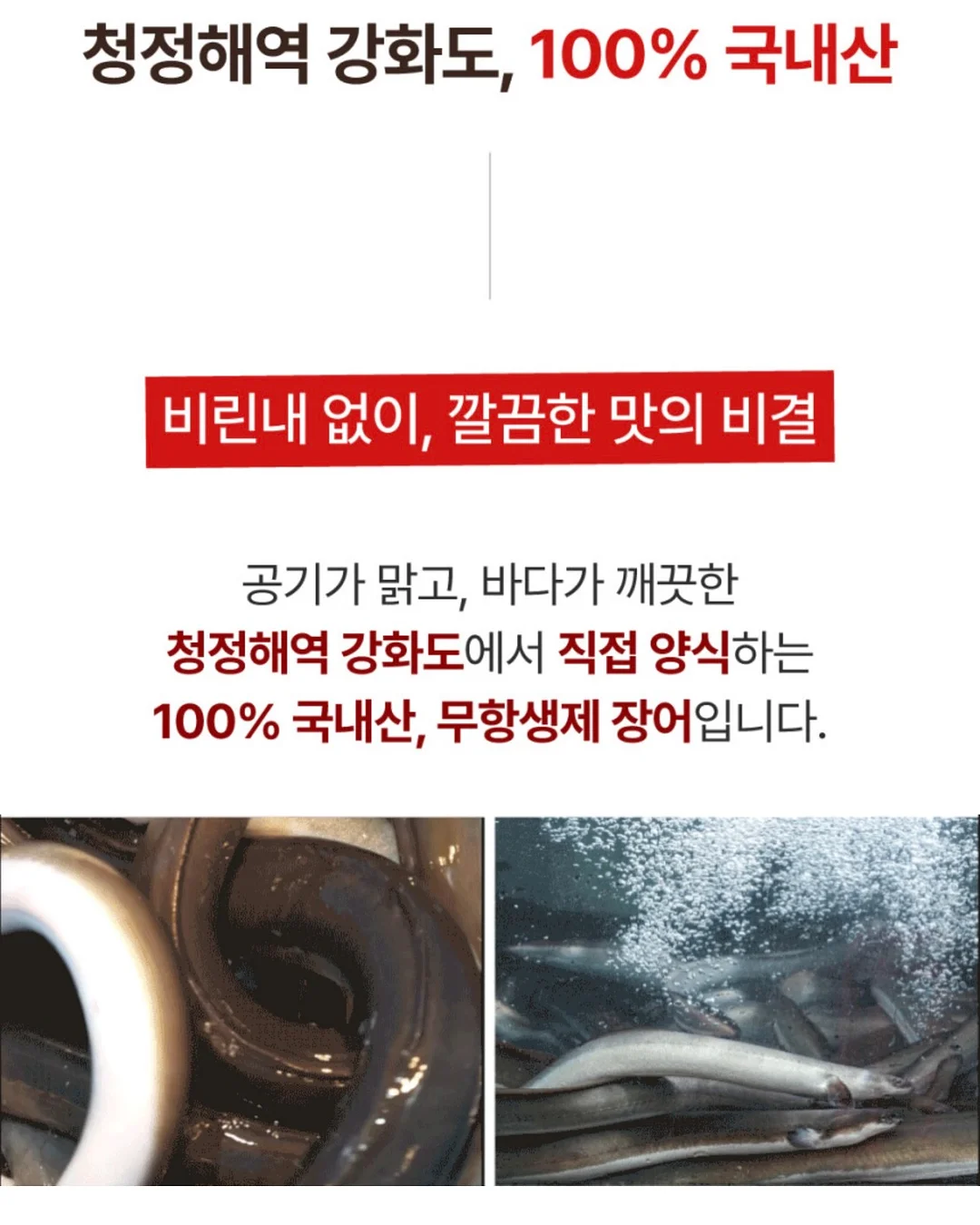 볼레로링 12