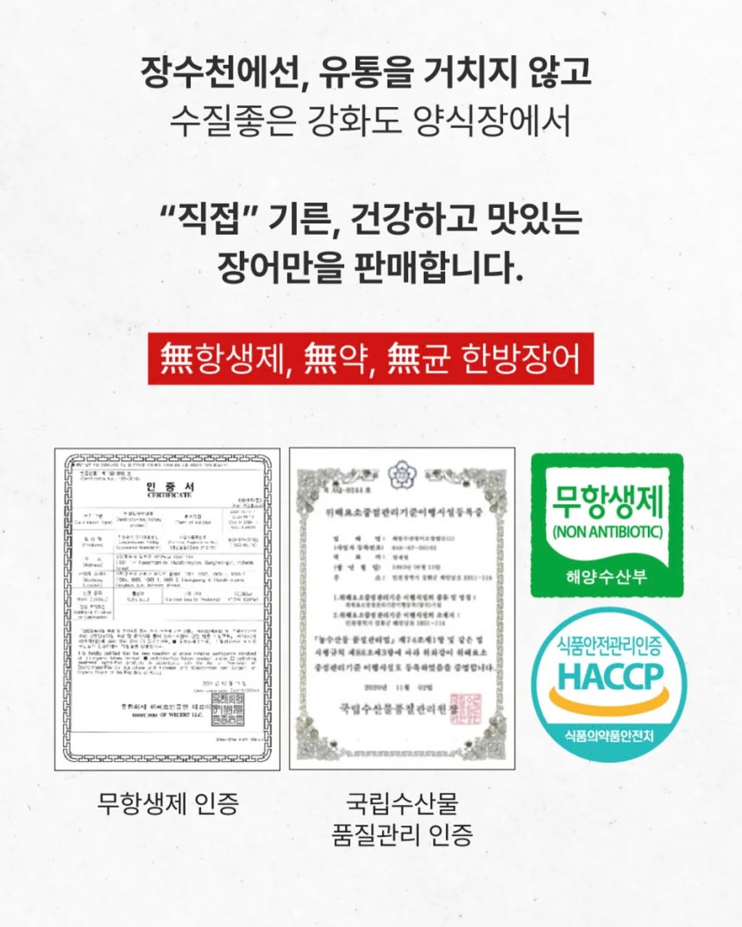 볼레로링 14