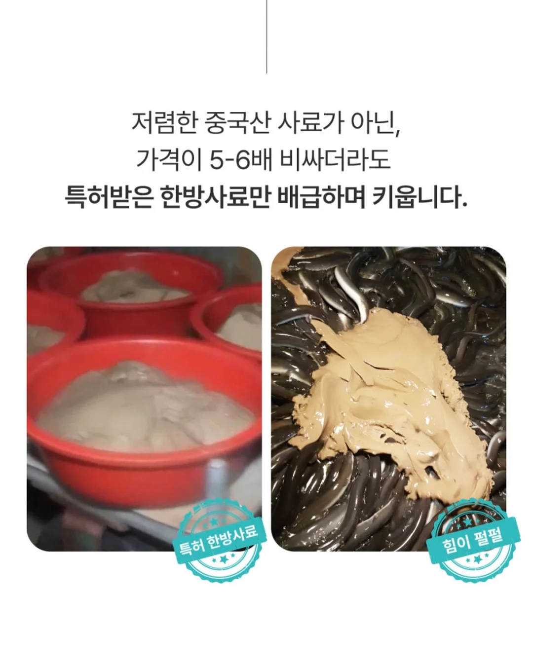 볼레로링 15