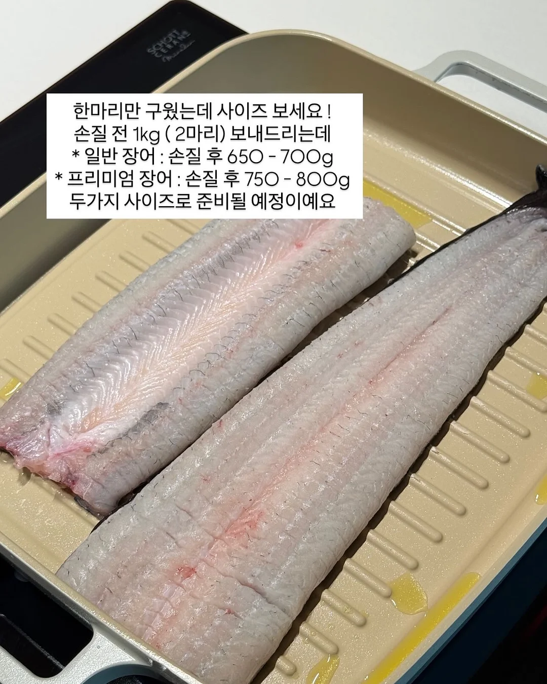 볼레로링 7