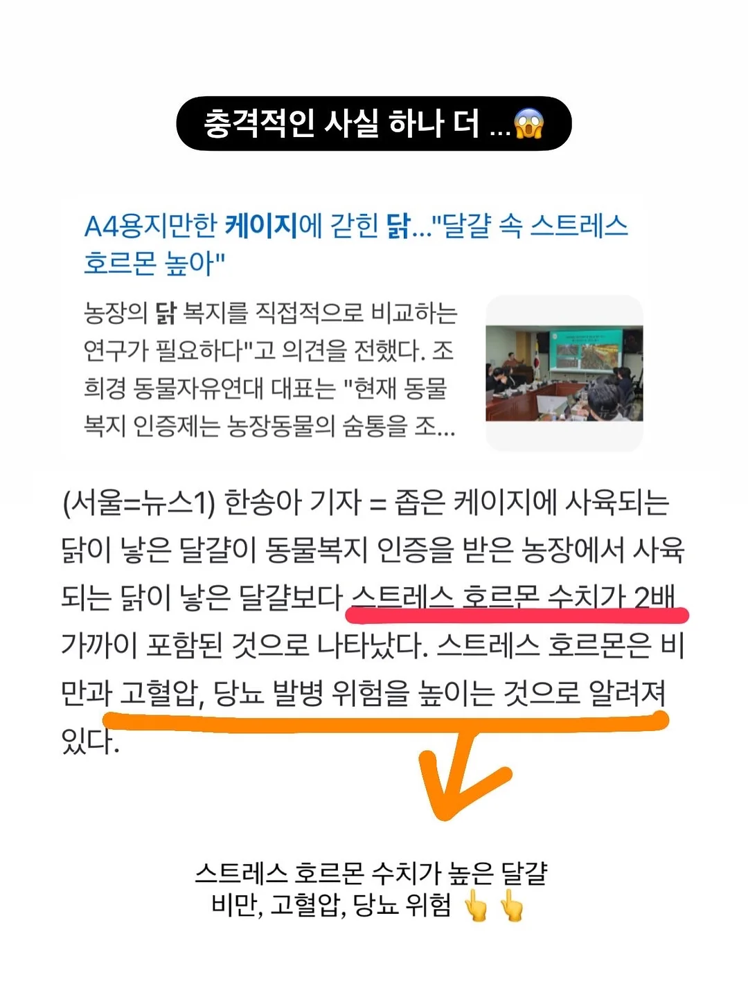 추억의 불량식품 피져 9