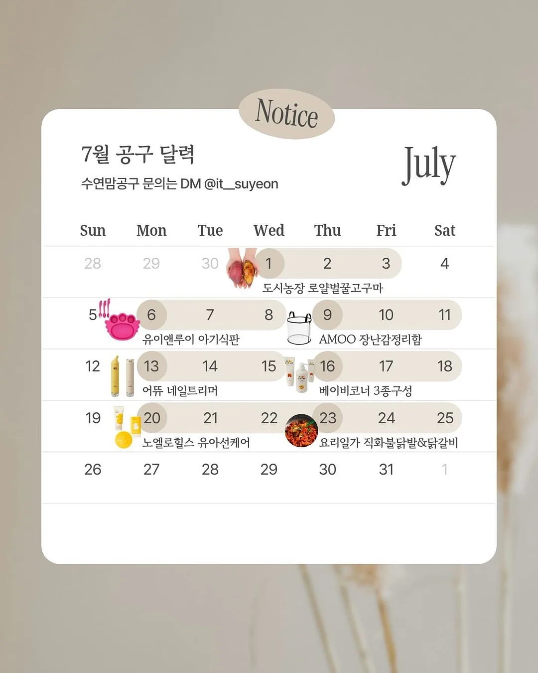 장미 스냅 촬영