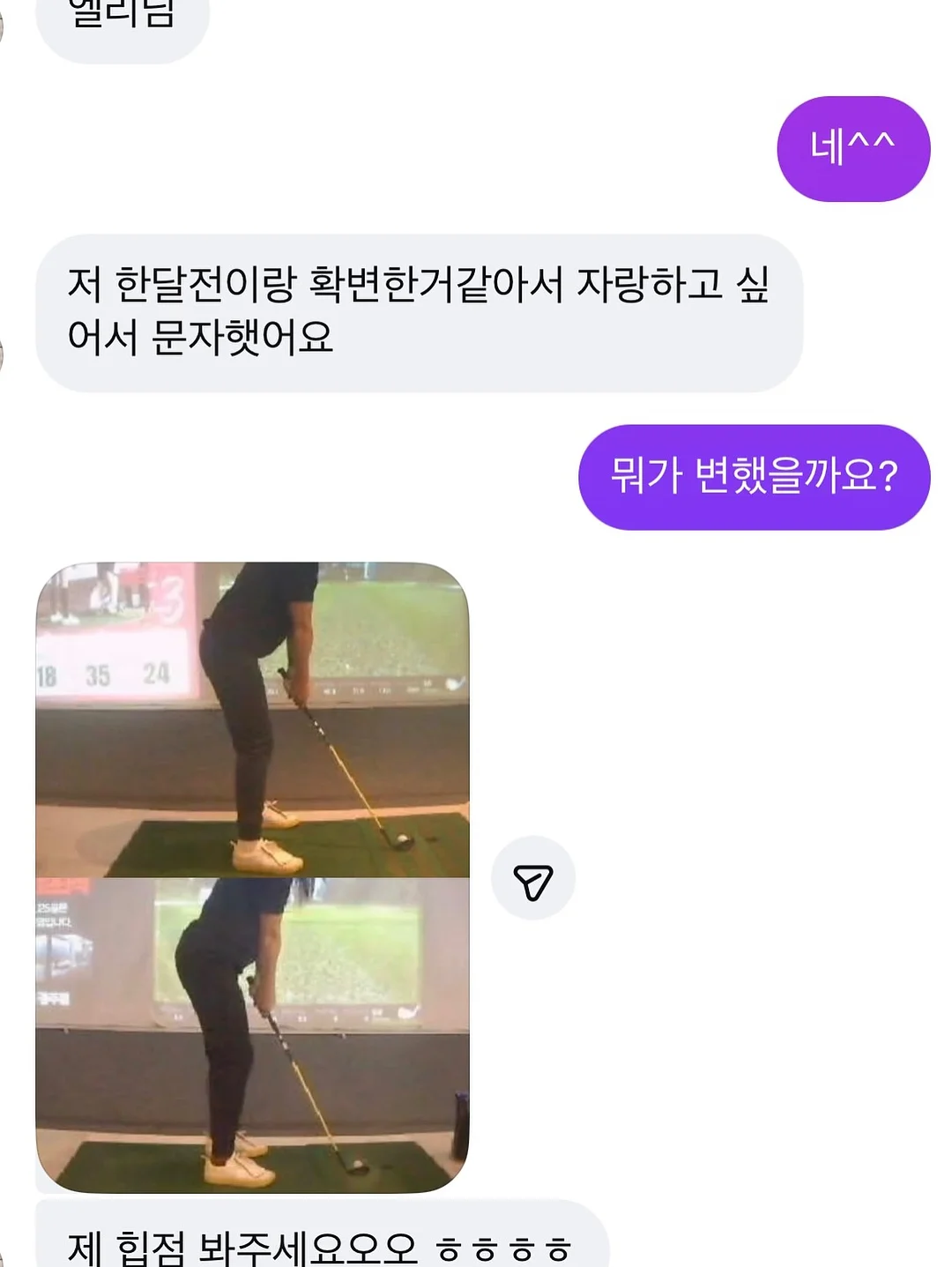 부분 가발 8