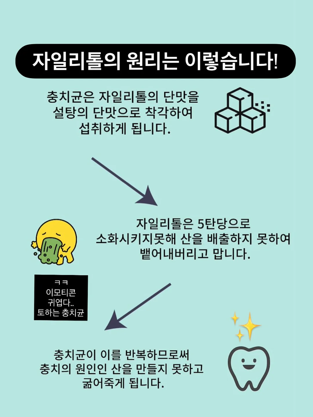 글라스볼 7