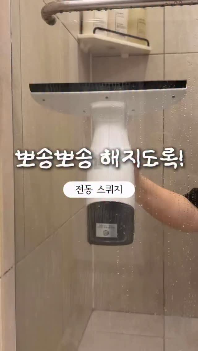 토이스토리 릴리패드