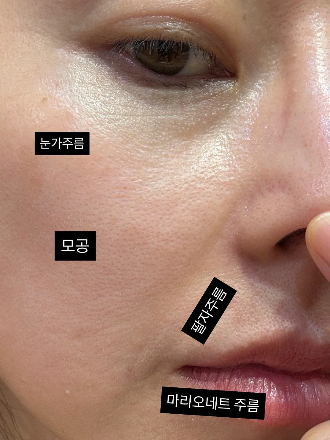 일본 현지 수납 장바구니 1