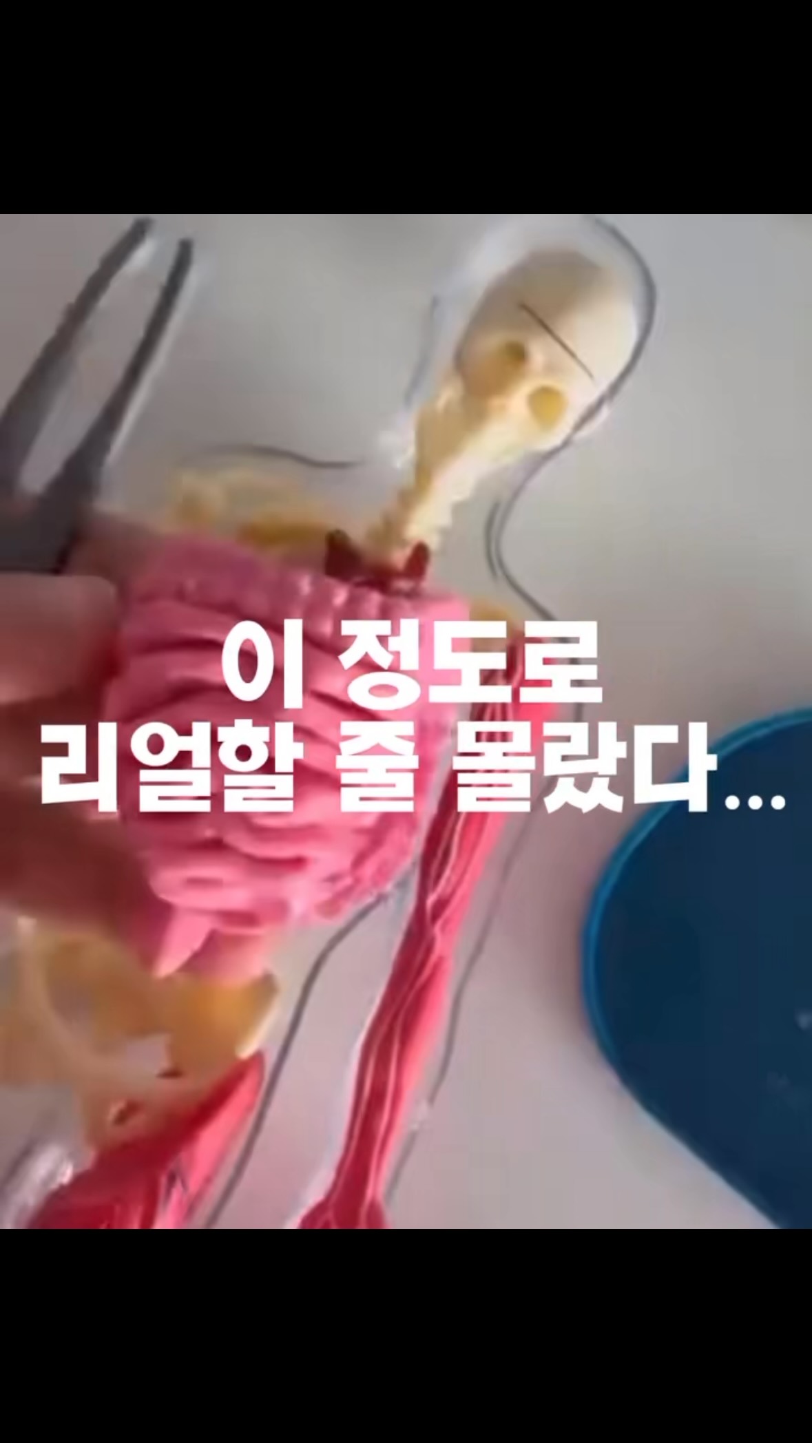 아이스붐