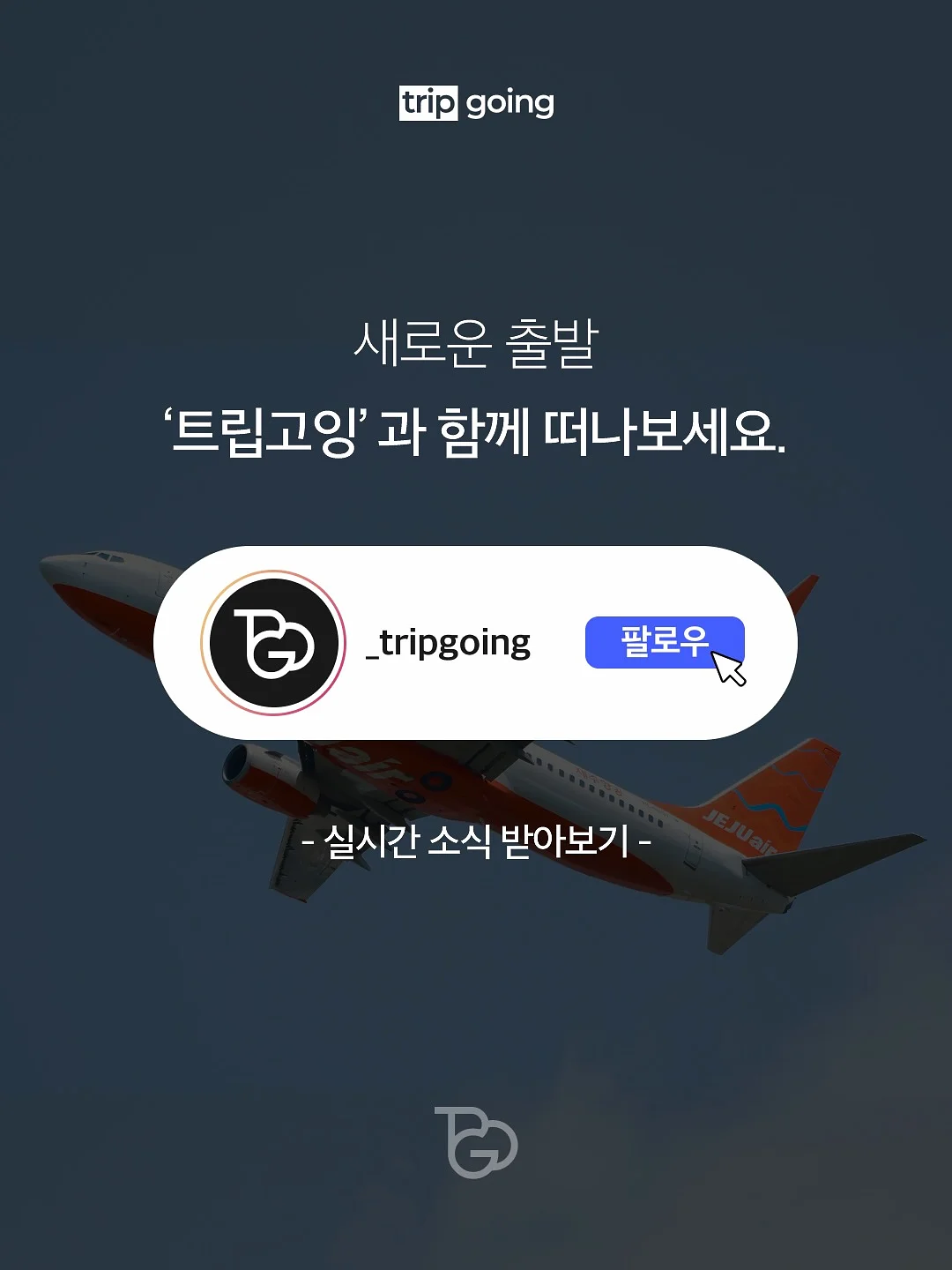스나이퍼 댕댕이 자동공던지기 5