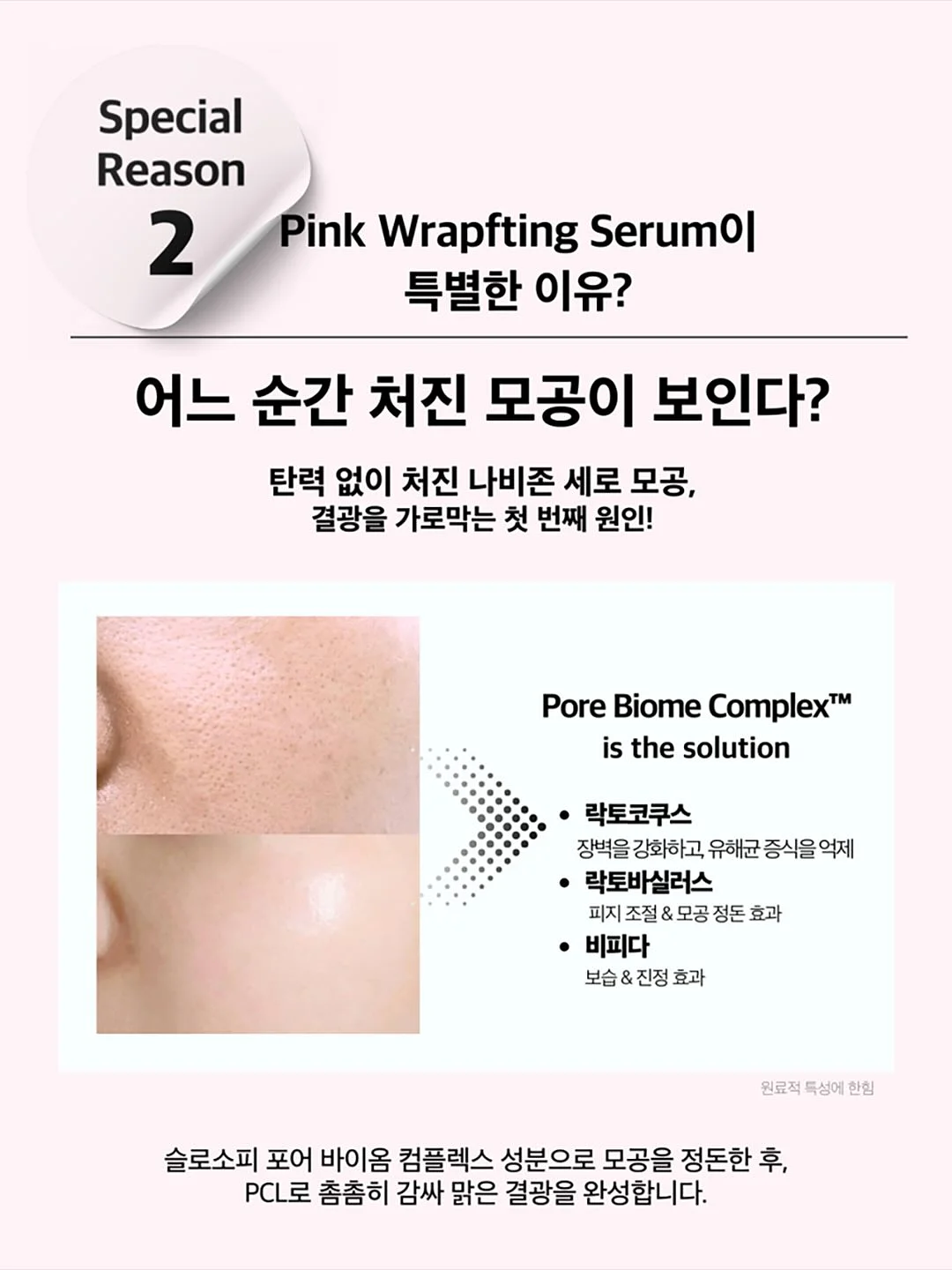 제주 초당옥수수 7