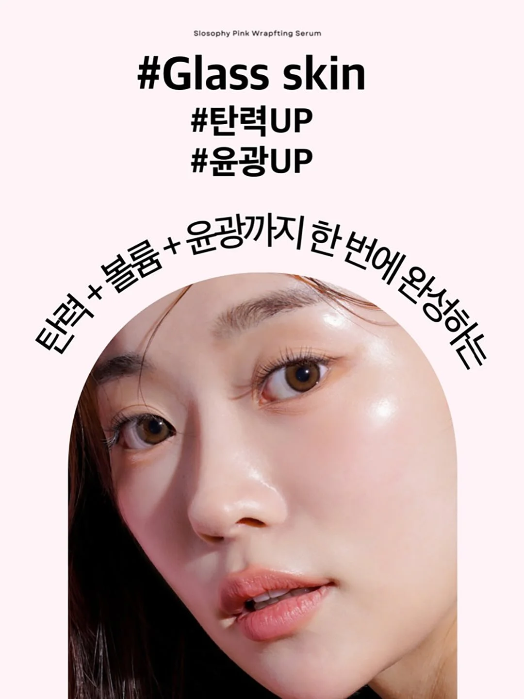 제주 초당옥수수 9