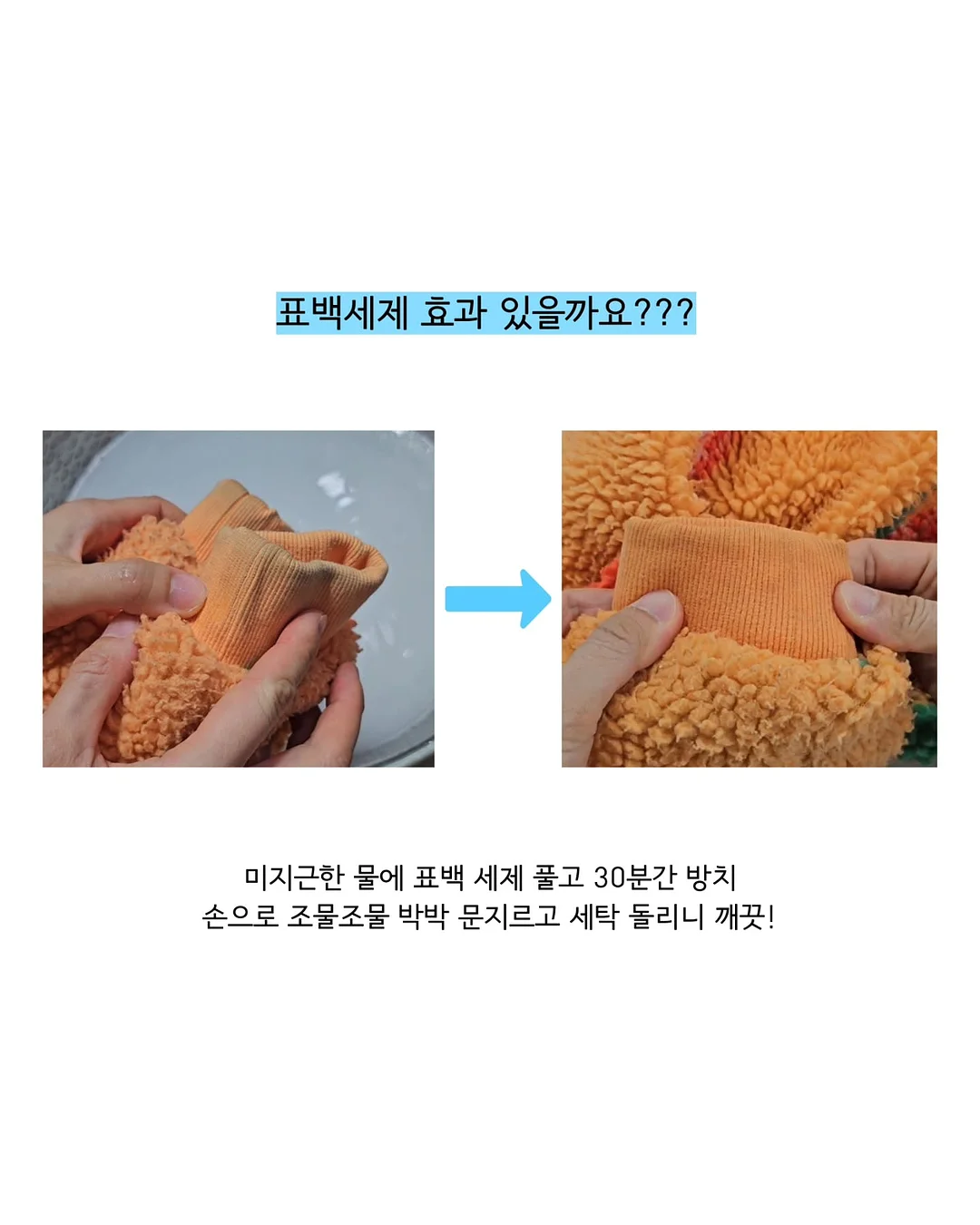 cat bag 6