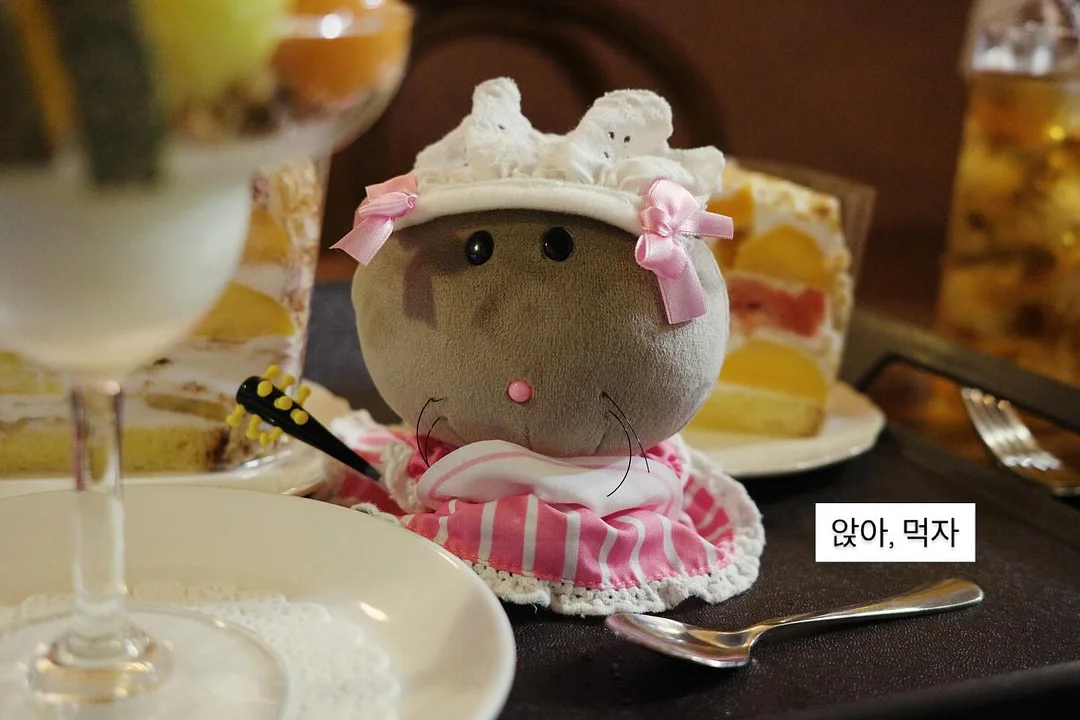 핸드폰 그립 15