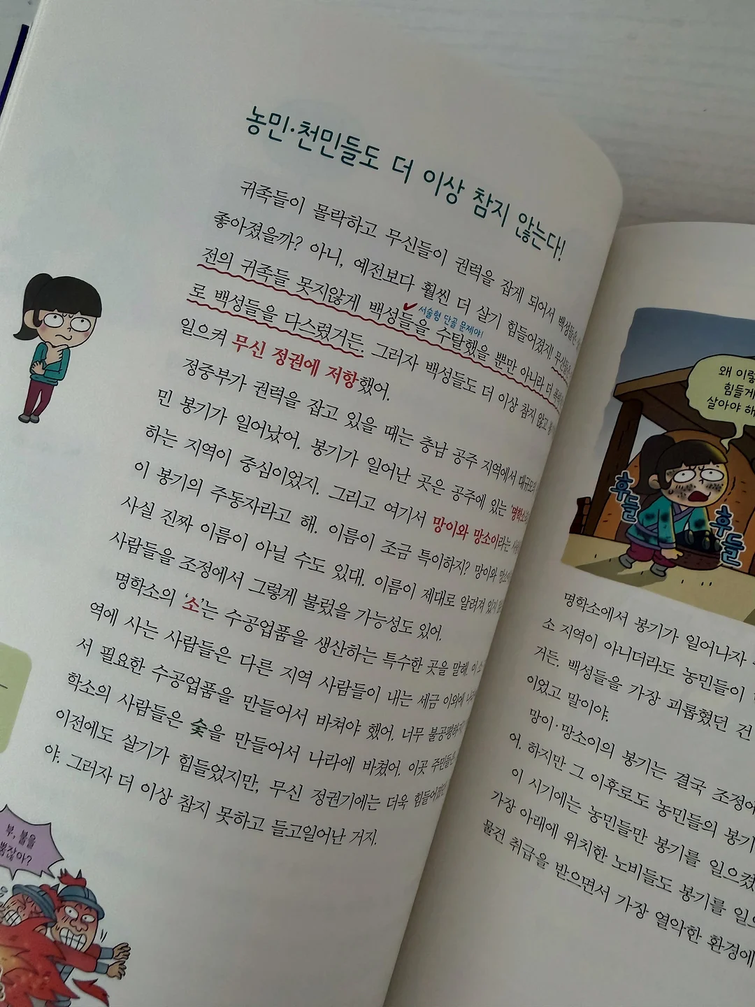 강화도 루지 6
