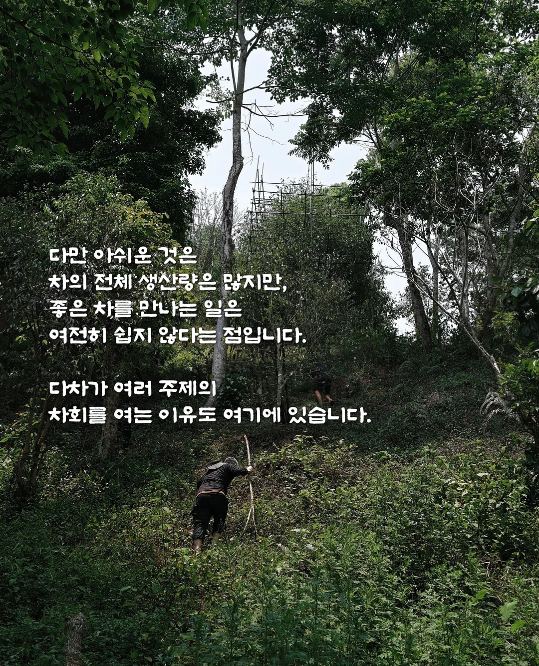 스파오 짱구 커플룩 3
