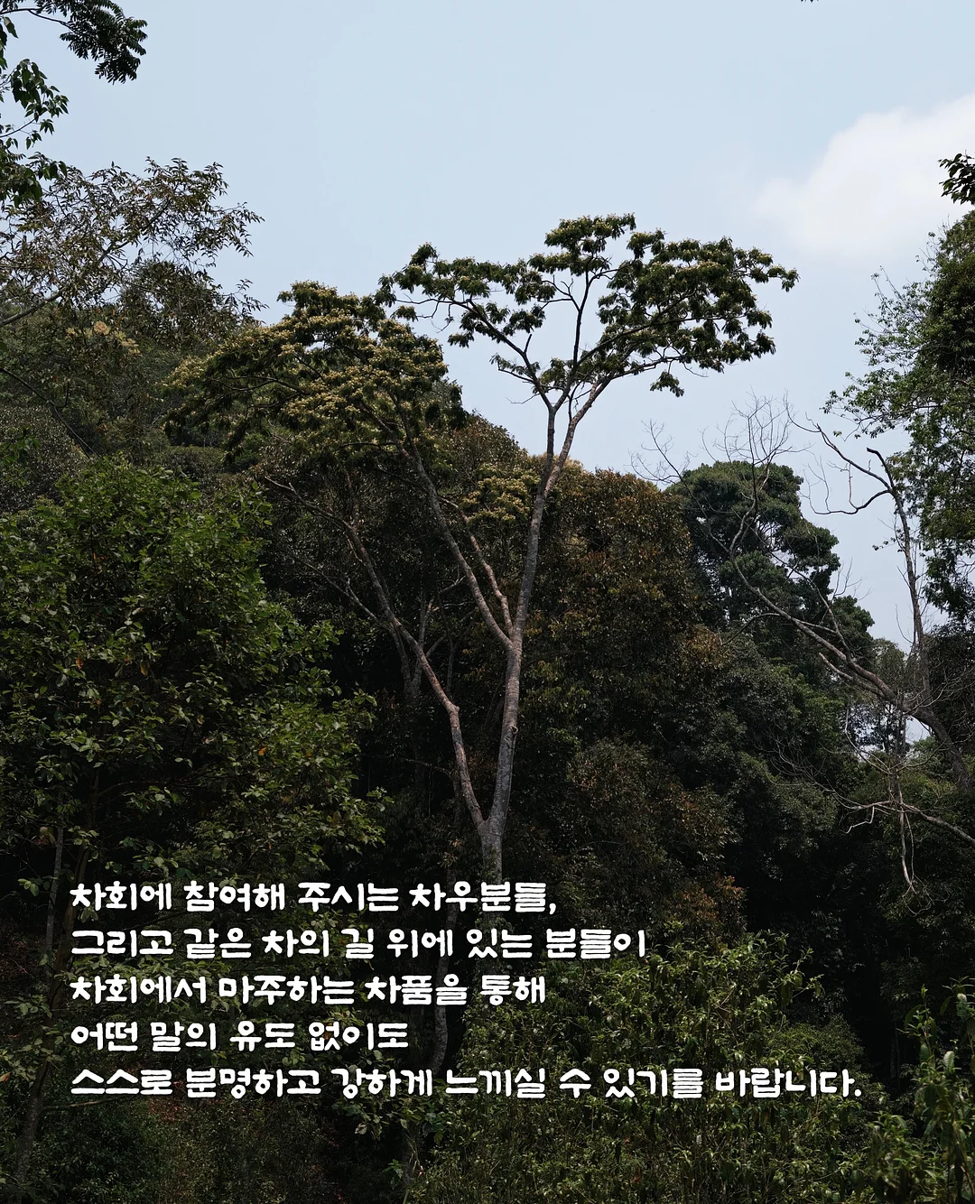 스파오 짱구 커플룩 4