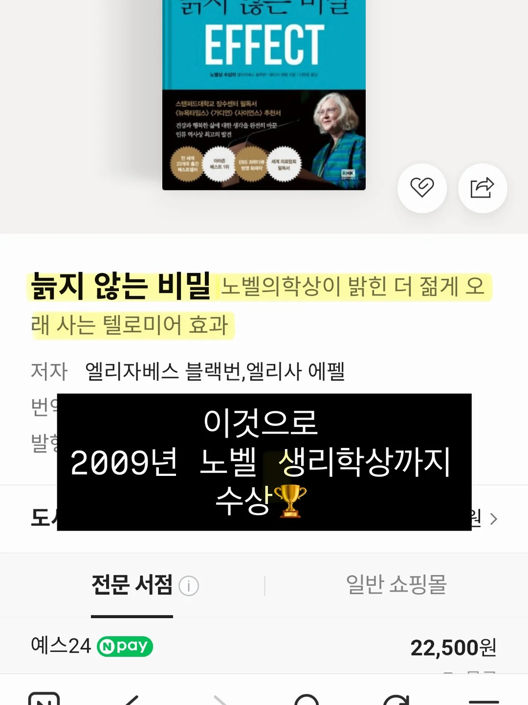 와이드 스트라이프 티 5