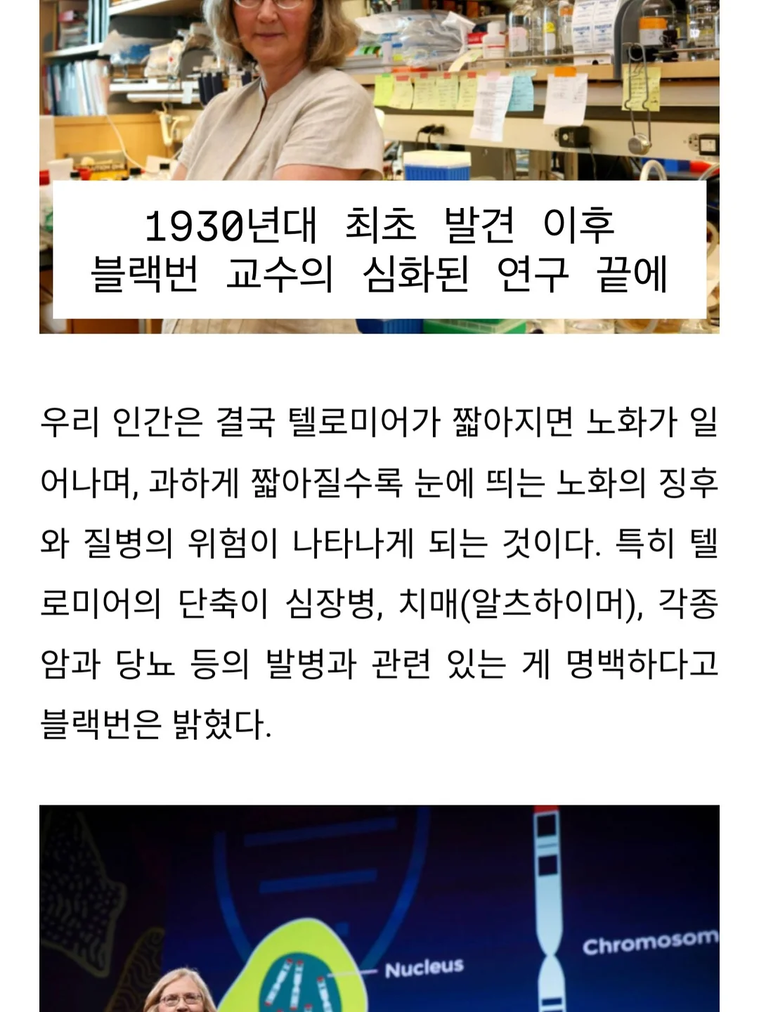 와이드 스트라이프 티 8