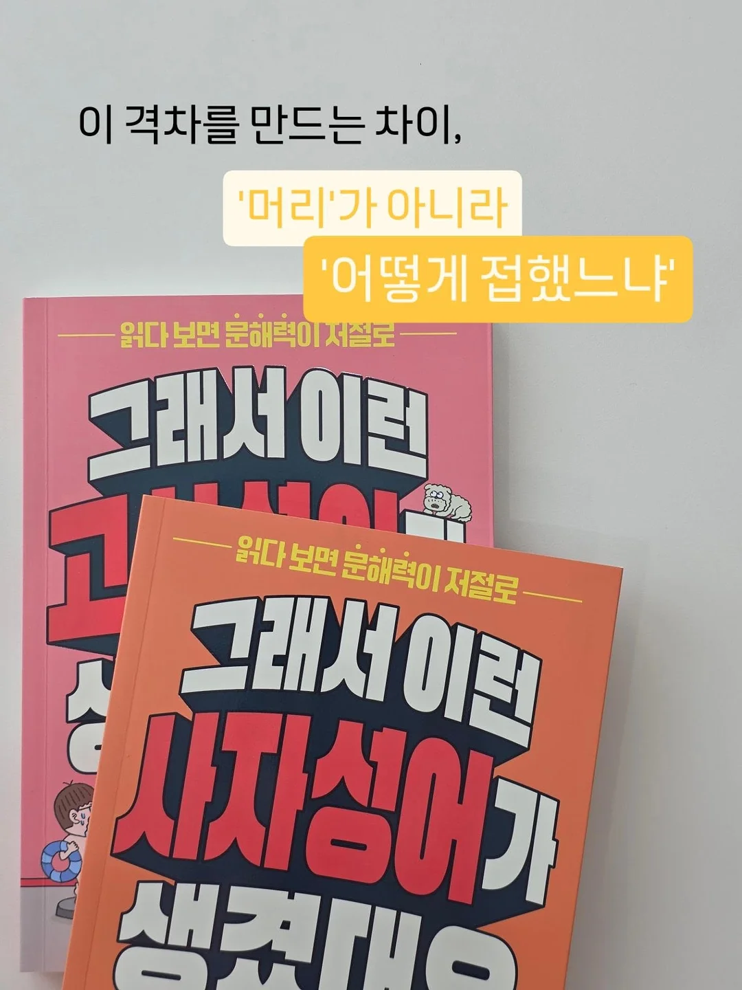 레더라 초콜릿 3
