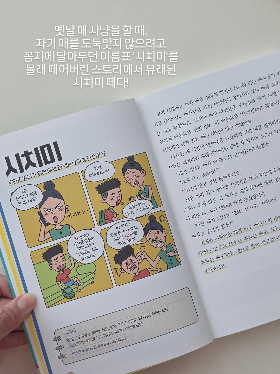 레더라 초콜릿 6
