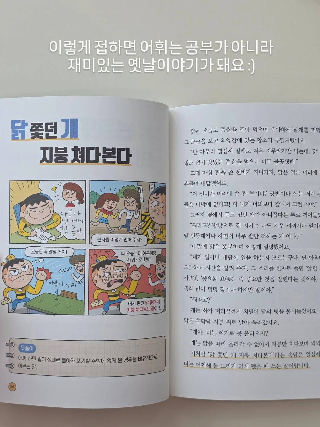 레더라 초콜릿 7
