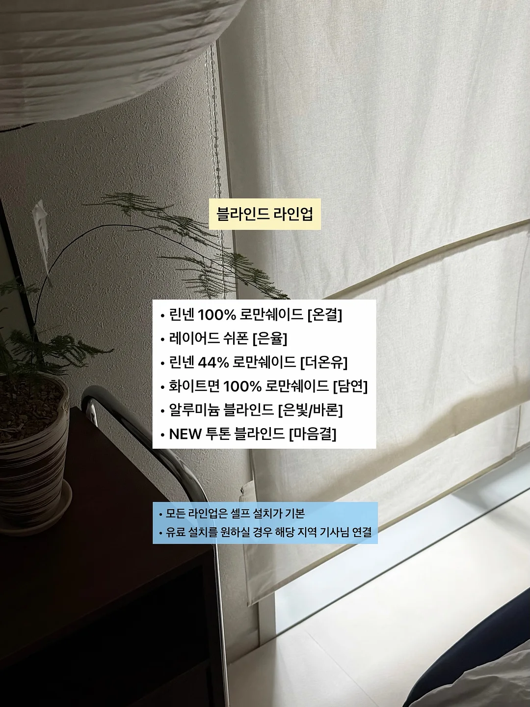 코디 세트 2