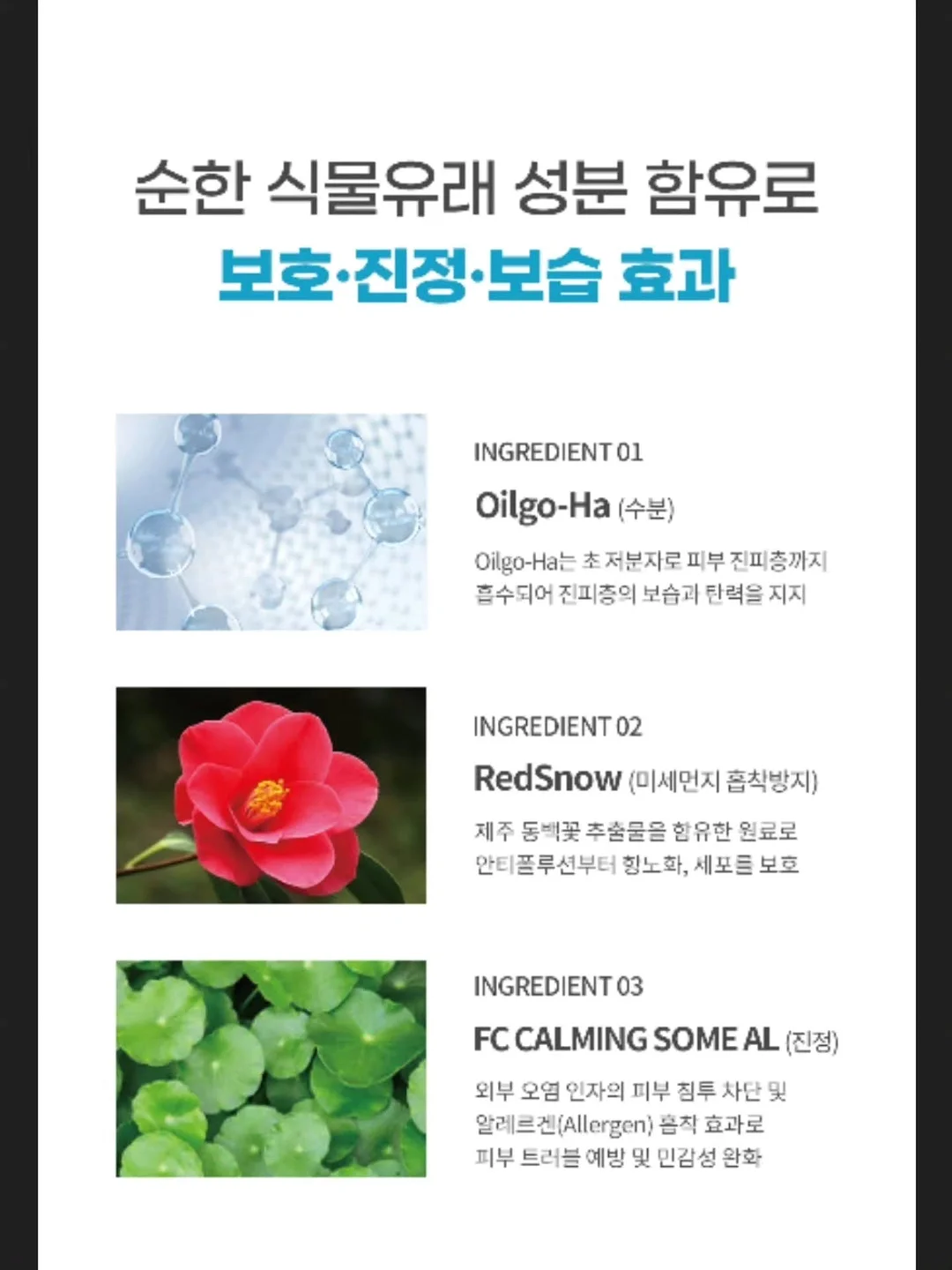 Champion 챔피온 로고 와이드 스웻팬츠 네이비 2