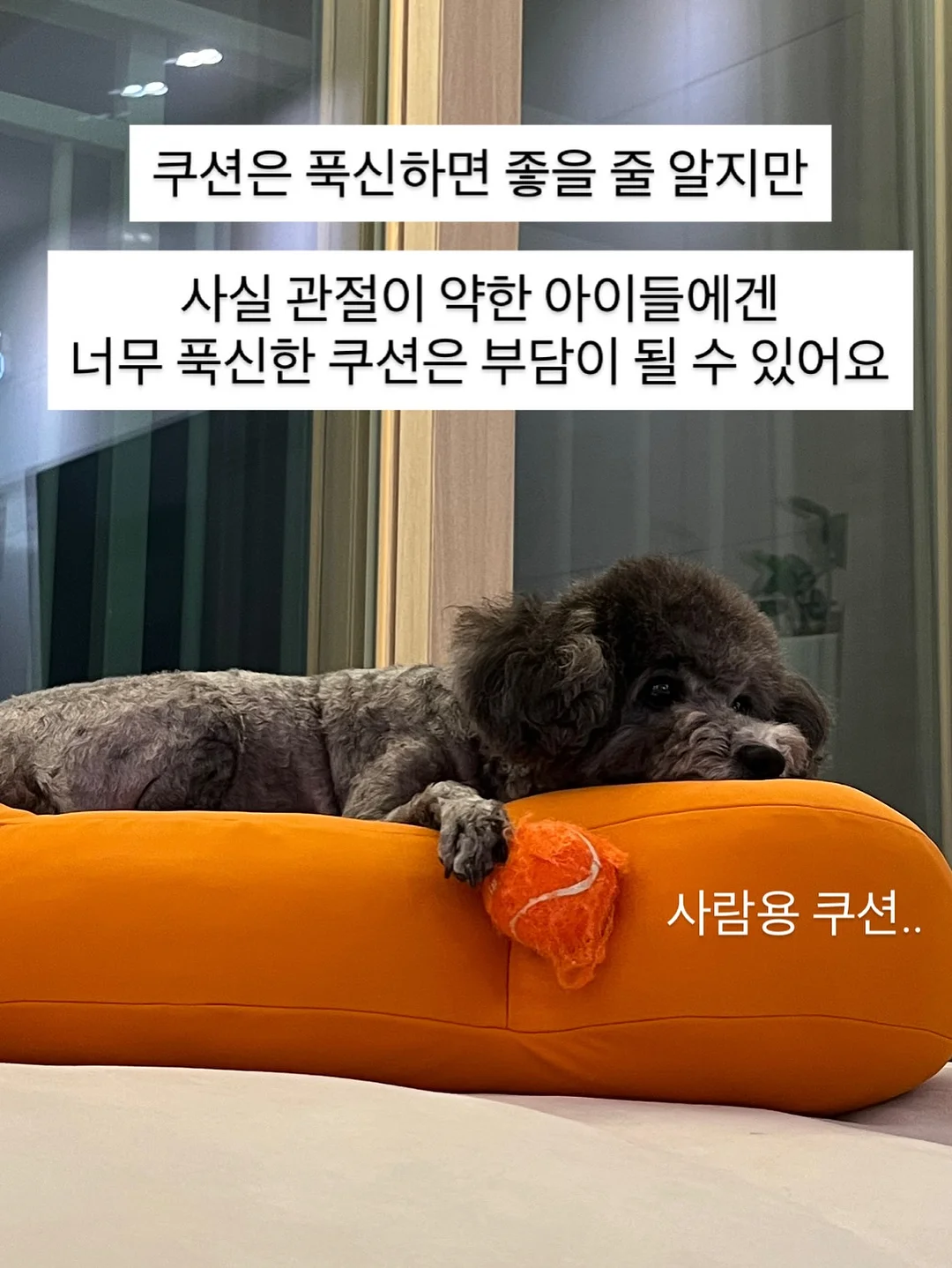 욕실 칸막이 2