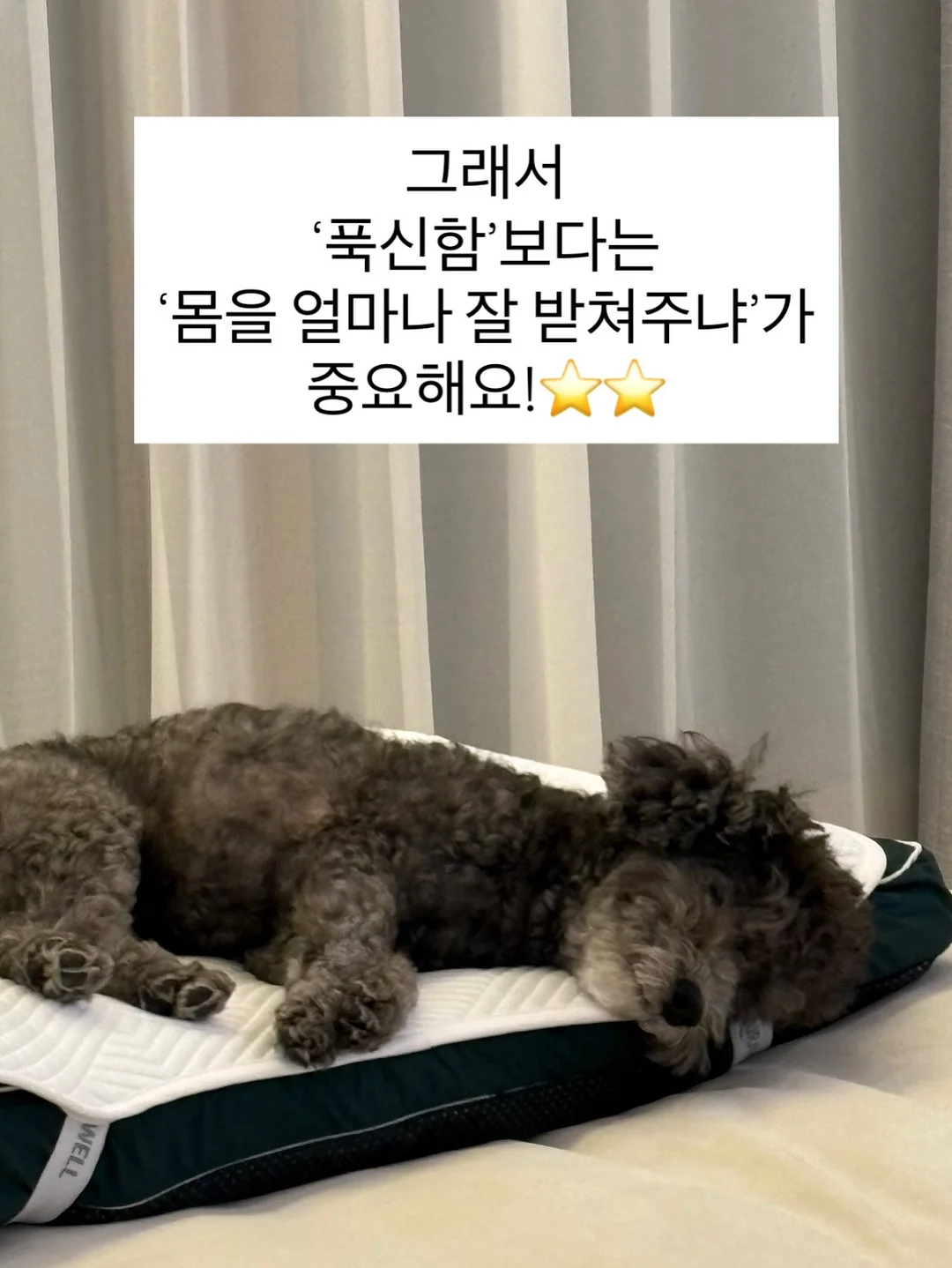 욕실 칸막이 6