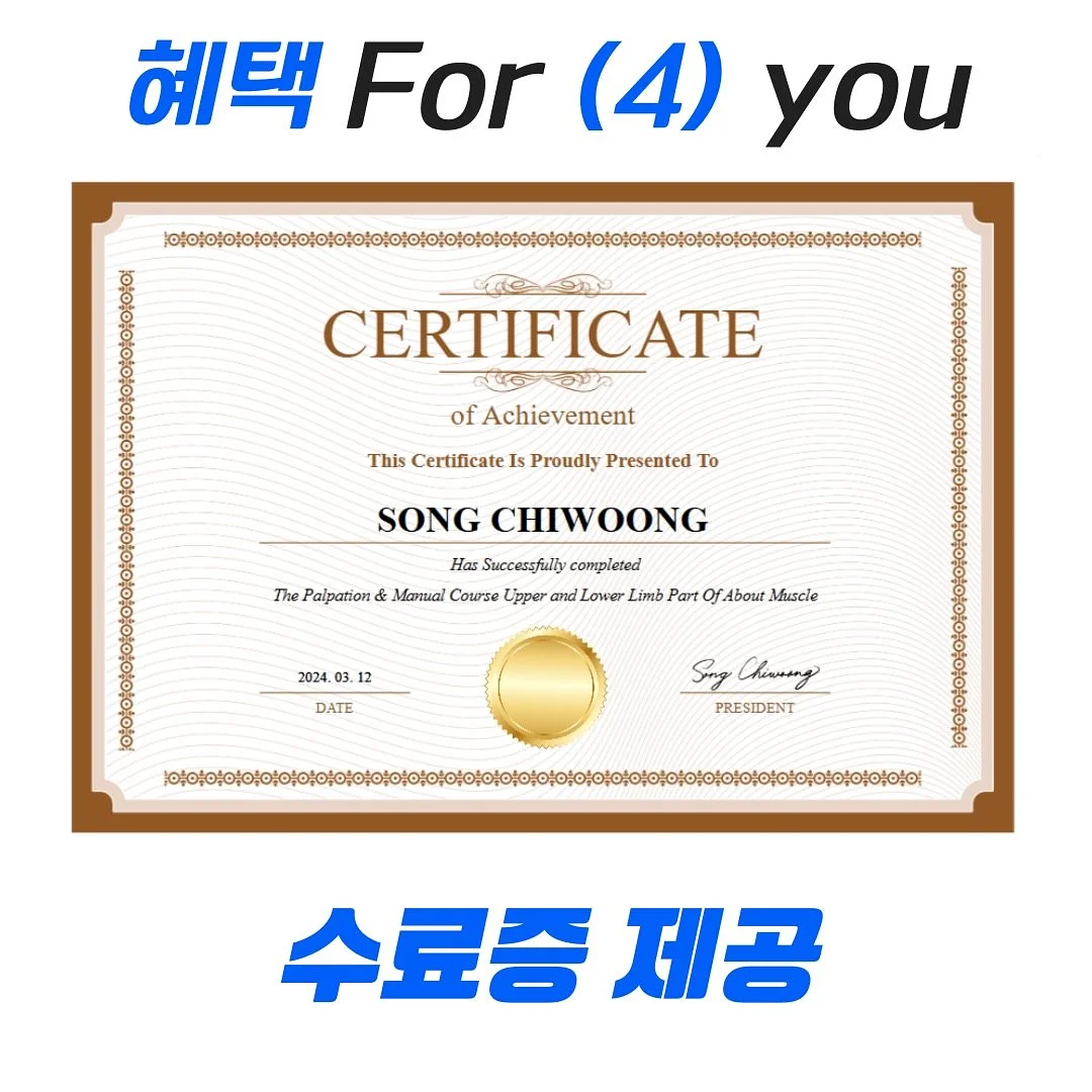 오션 드레스 6