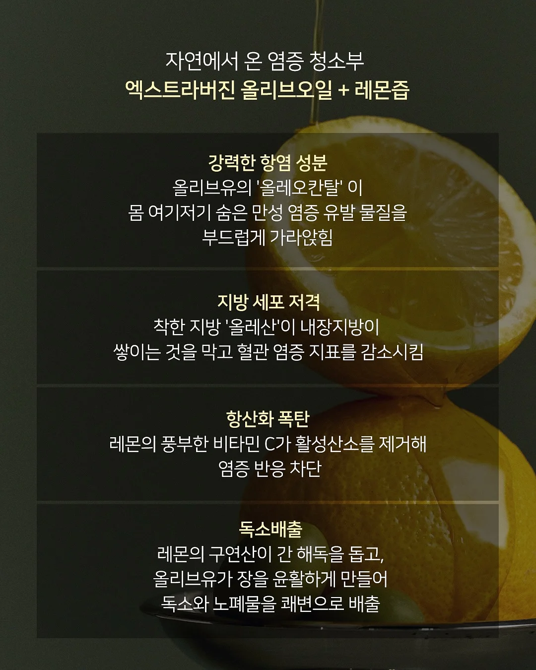 아이보들 CCP 로션 + CCP 크림 3