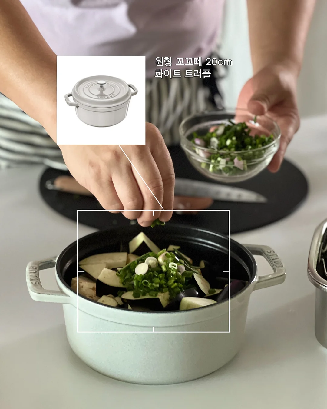 바쿠백 5