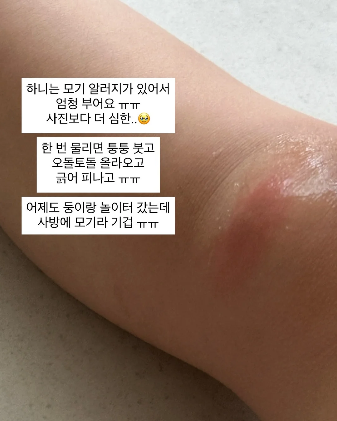 나그랑 상하세트 5