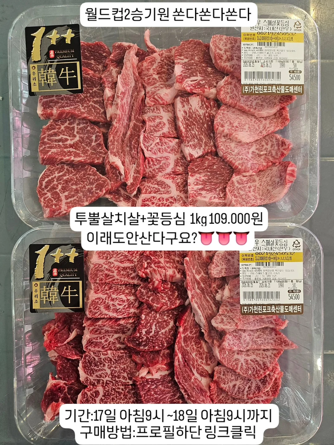 네오플램 내열유리 물병 1600ml 1