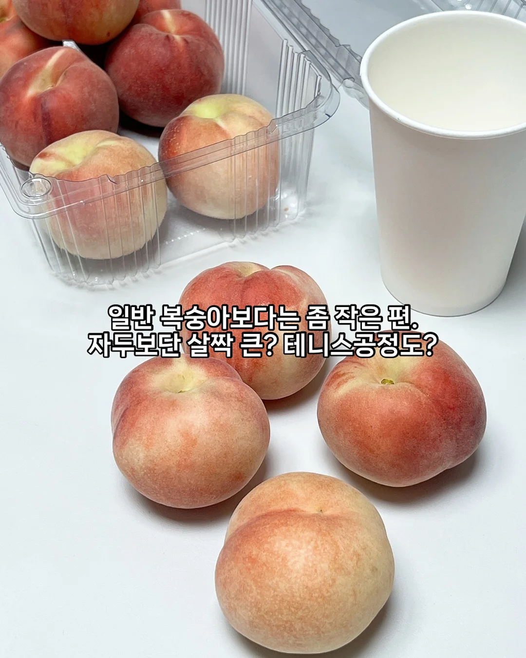 꽃만주세트 5