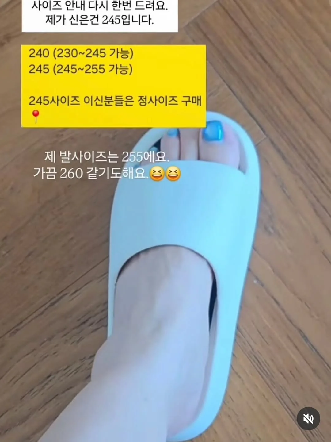 올레샷 / 올토샷 7