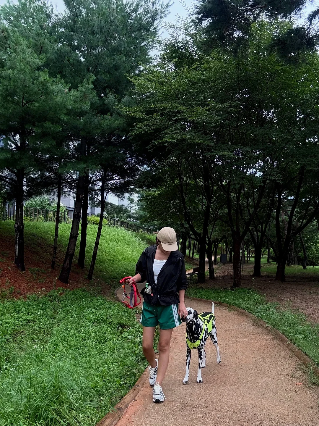 폴로 5버튼 6
