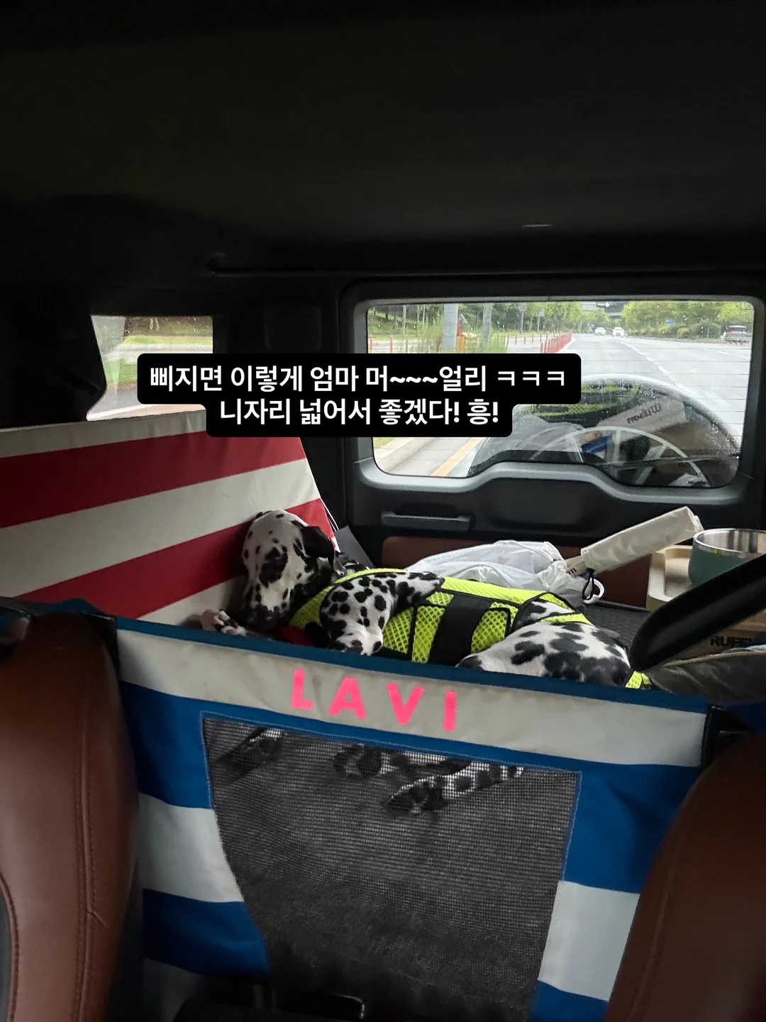 폴로 5버튼 7