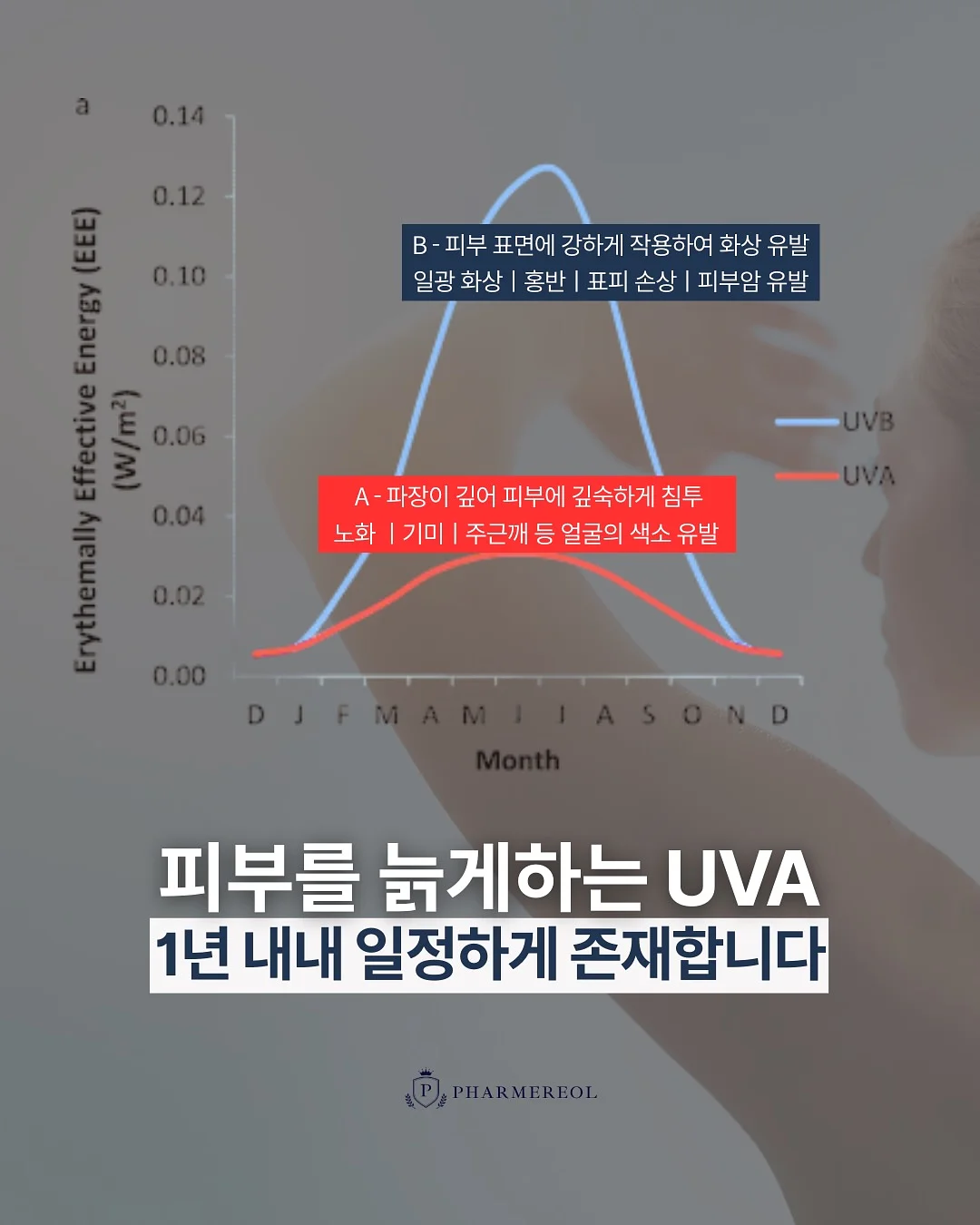 슈퍼매직파닉스 3