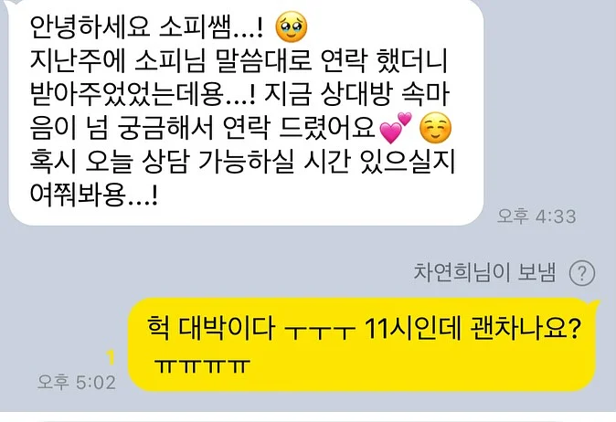 필웰 테미스 교구장 800 1