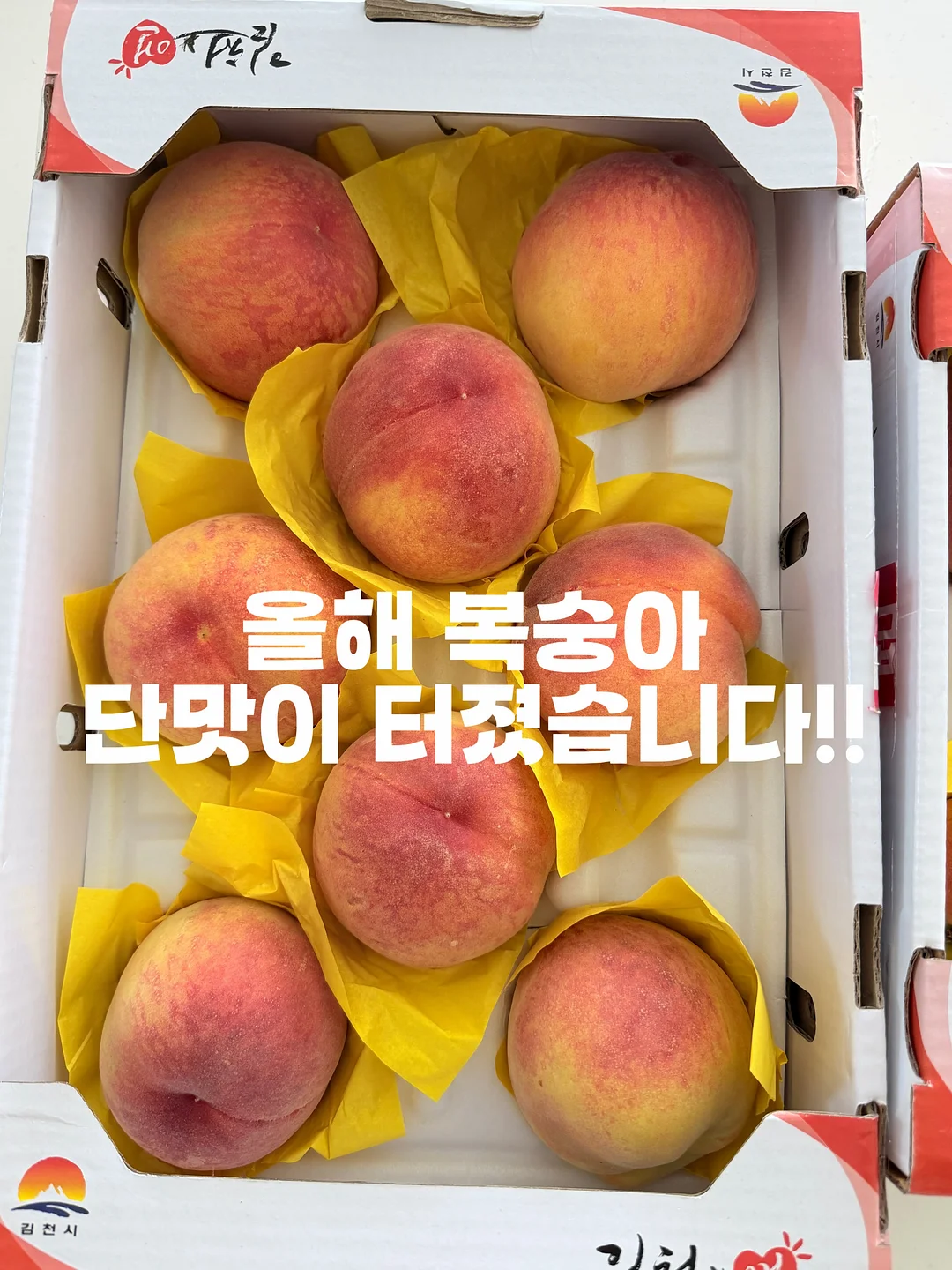 니트 가디건 1