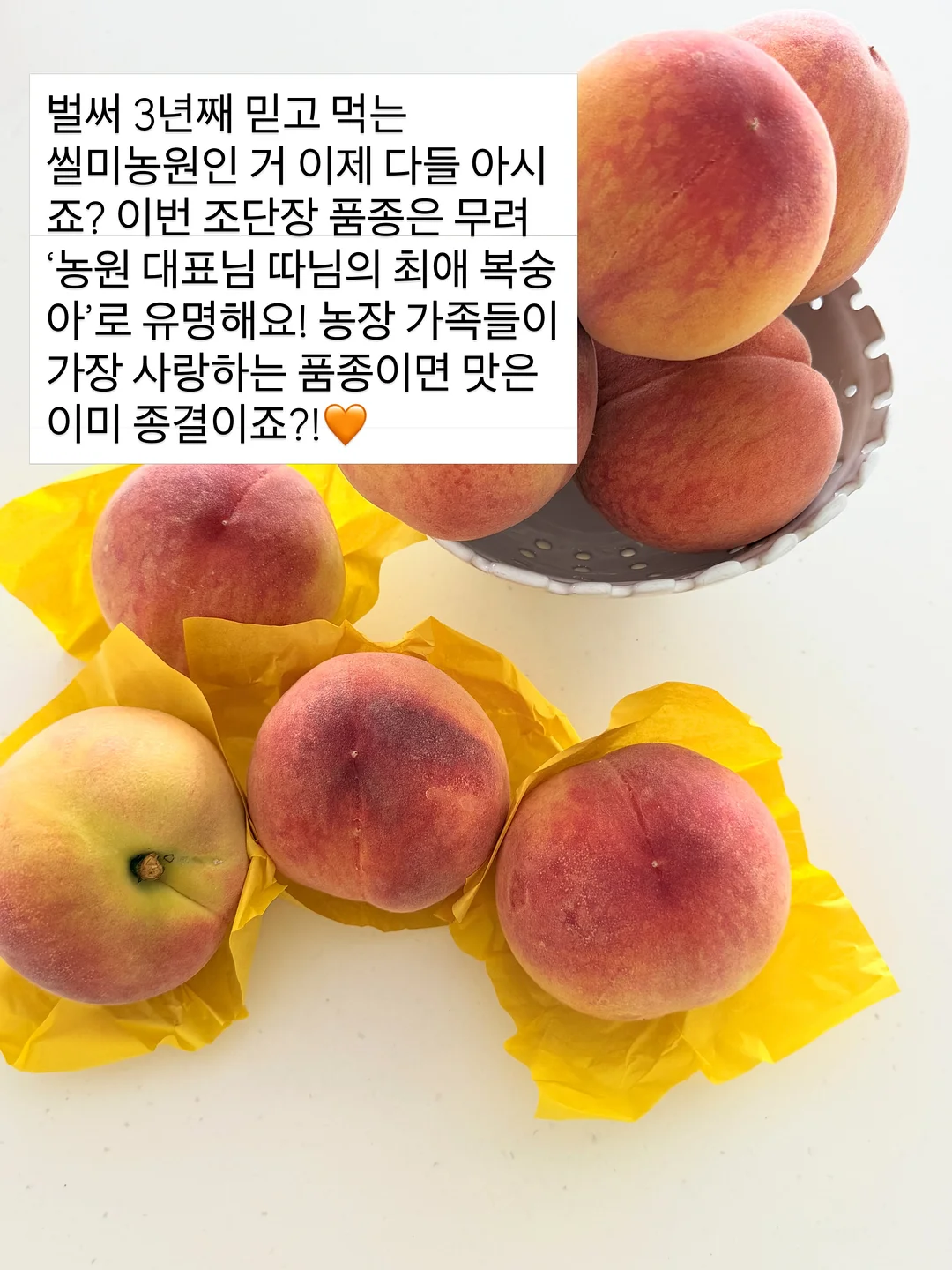 니트 가디건 12