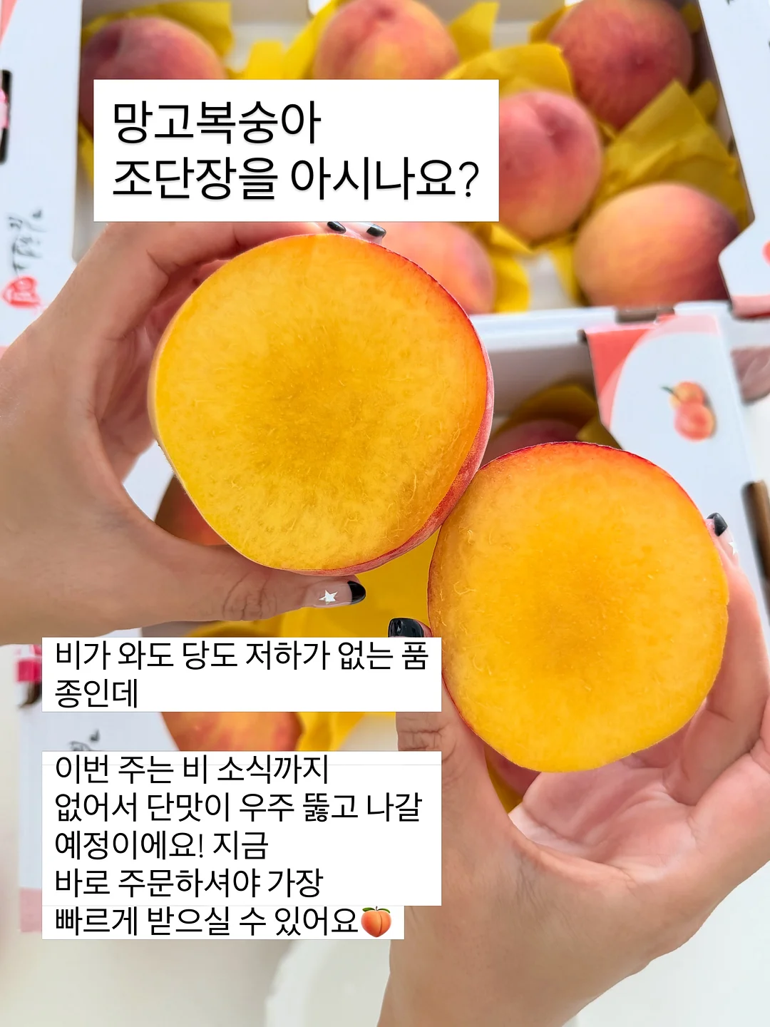 니트 가디건 2