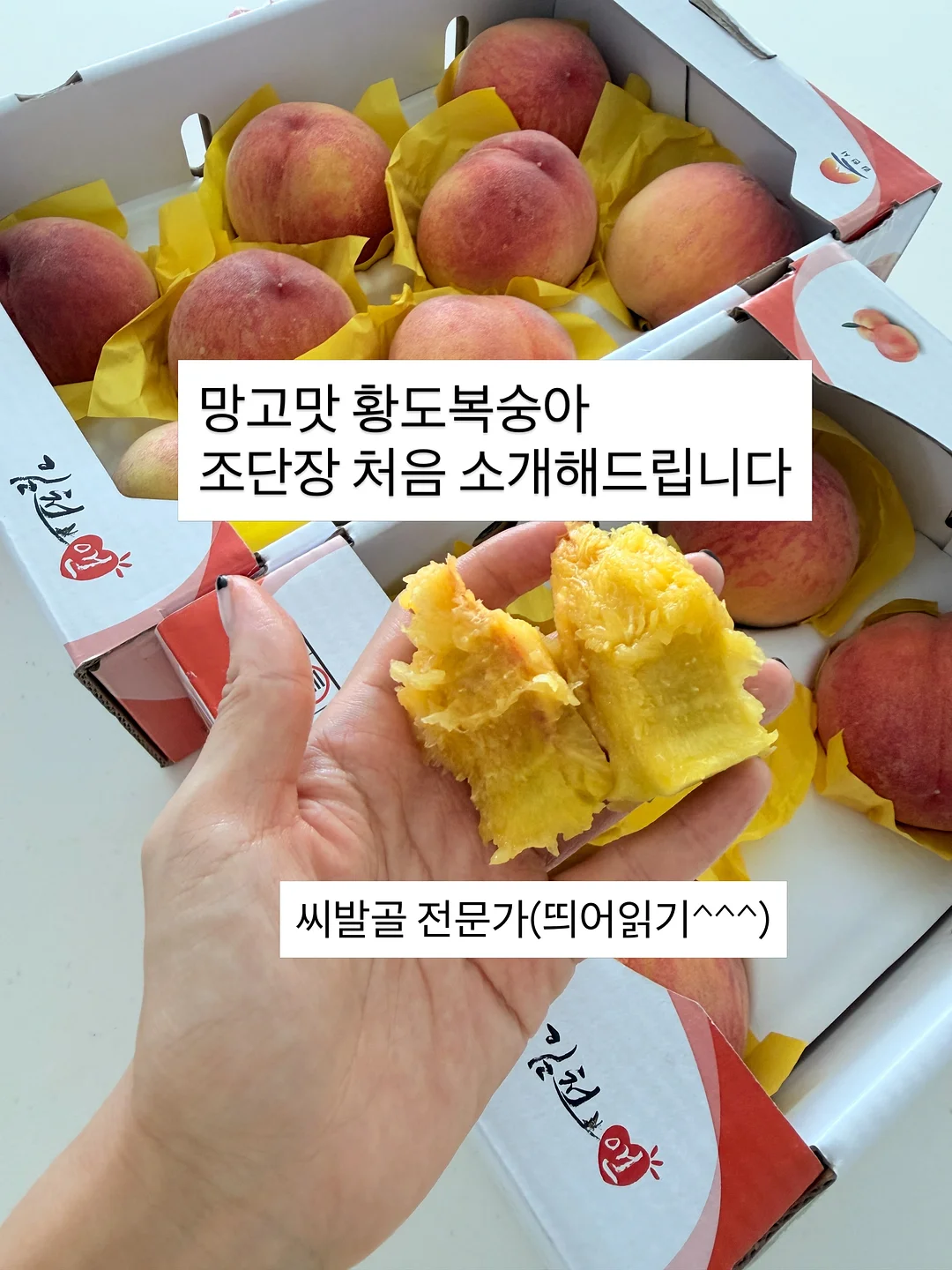 니트 가디건 3