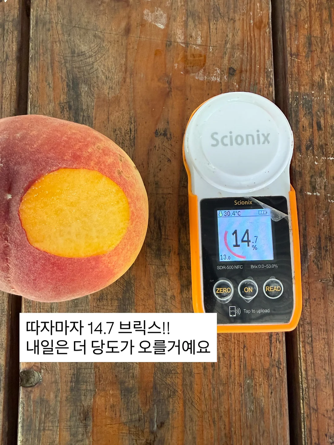니트 가디건 4